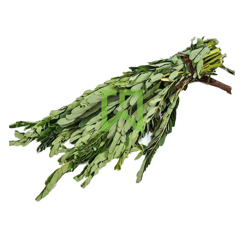 Kathurumurunga 1 Pack