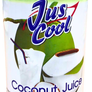 Coconut Juice with pulp Jus Cool 310ml