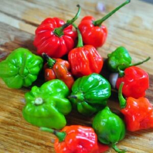 Bongo Chili (Kochchi) 100g